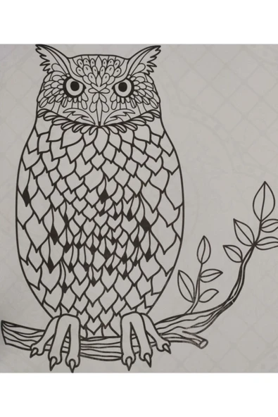 Ema Kitap Büyüklere Boyama Kitabı. Hayallerini Boya 12' Li Büyük Boy Kuru Boya Kalemi - Resim 5