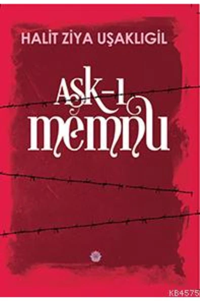 Nilüfer Yayınları Aşk-I Memnu ürün görseli 1