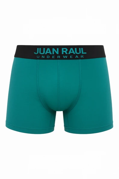 DeepSEA Erkek Pamuklu Boxer Seti – Esnek, Nefes Alan Cilt Dostu 4'lü Boxer 2603123 - Resim 7