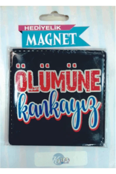 KESKİN COLOR Keskincolor Türkçe Özlü Sözler Damla Magnet ürün görseli 1