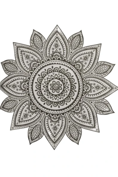 Ema Kitap Büyüklere Boyama Kitabı. Hayallerini Boya 12' Li Büyük Boy Kuru Boya Kalemi - Resim 3