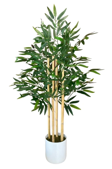 Beyaz Renkli Saksıda 100 cm 4 Gövde Yoğun Yaprak Yapay Bambu Ağacı - Resim 3