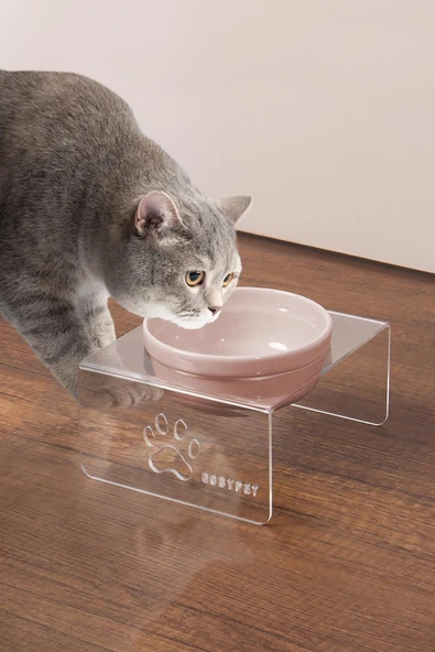 Tekli Seramik Dekoratif Kedi Ve Köpek Pleksi Mama & Su Kabı Kedi Paspası - Resim 5