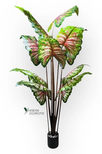 14 Büyük Yapraklı 180 cm Yapay Fil Kulağı Ağacı - Resim 10