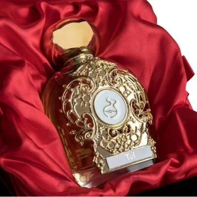 Tiziana Terenzi Assoluto TYL 100 ml Unisex Parfüm - Resim 4