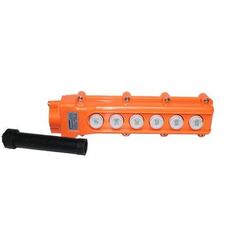 Eurowest Plastik Vinç Kumanda 6'lı Tek Hızlı - Resim 3