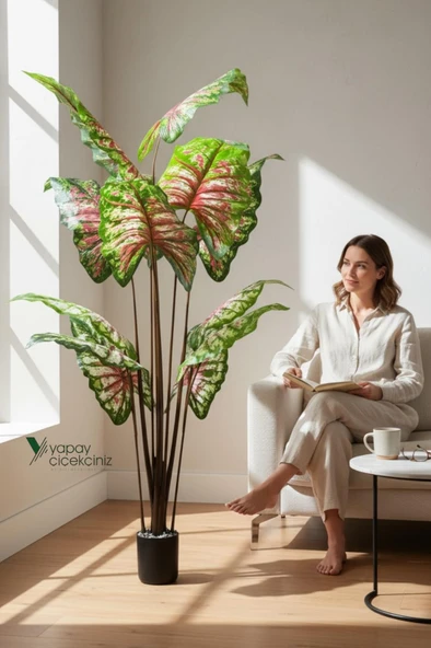 14 Büyük Yapraklı 180 cm Yapay Fil Kulağı Ağacı - Resim 6