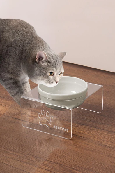 Tekli Seramik Dekoratif Kedi Ve Köpek Pleksi Mama & Su Kabı Kedi Paspası ürün görseli