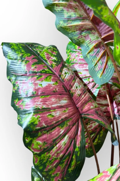 14 Büyük Yapraklı 180 cm Yapay Fil Kulağı Ağacı - Resim 8