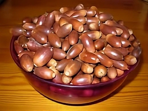 Meşe Palamudu 100 gr - Resim 2