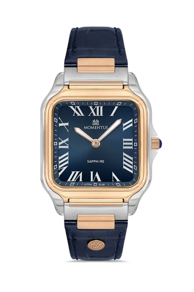 MOMENTUS EM348T-11KR Erkek Kol Saati ürün görseli
