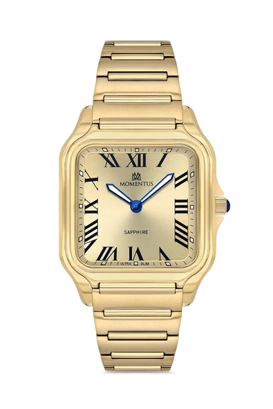 MOMENTUS EM348G-08SG Erkek Kol Saati ürün görseli