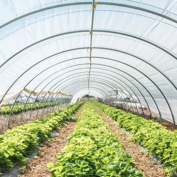 Vatan Plastik 36 Aylık Sera Naylonu 350 Mikron Uv-ab-ır-eva-ld Katkılı En 10 Mt(GİRİLEN ADET KADAR METRAJ KESİLİR) - Resim 3