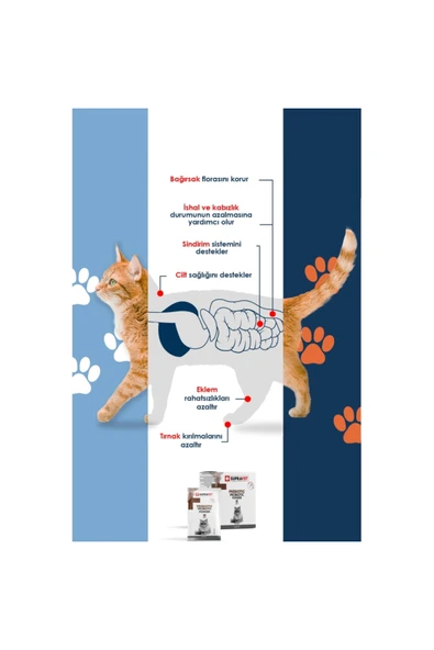 Supravet Toz Probiyotik Prebiyotik Kedi Bağışıklık Sistemi Güçlendirici 30 Adet X 1.5 gr - Resim 3