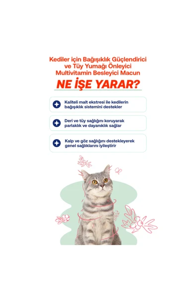 BioFeline Kediler için Multivitaminli Malt macun 100g - Resim 3