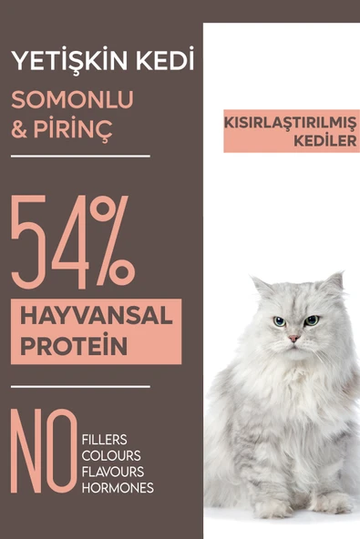 Animal World Sterilised Somonlu Kısırlaştırılmış Kedi Maması 15 Kg - Resim 2