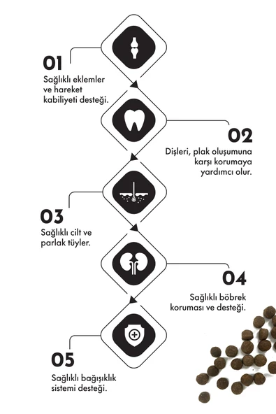 Pro Performance Yavru (ORTA VE BÜYÜK IRK) Kuzu Etli Yaban Mersinli Köpek Maması 12 Kg - Resim 2