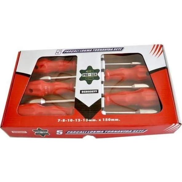 Pro-Scr 02677 Lokma Tornavida Seti 5 Parça ürün görseli