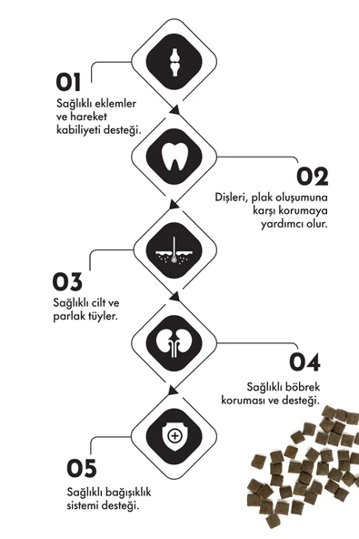 Pro Performance Ultra Premium Adult Medium Ve Large Kuzulu Köpek Maması 12 Kg - Resim 2