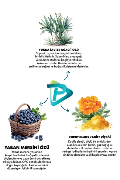 Pro Performance Yavru (ORTA VE BÜYÜK IRK) Kuzu Etli Yaban Mersinli Köpek Maması 12 Kg - Resim 3