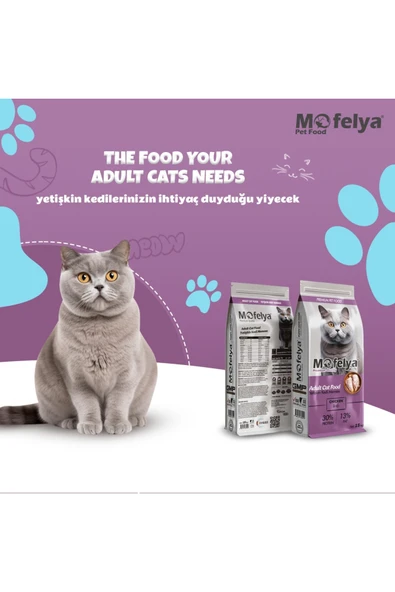 MOFELYA Yetişkin Kedi Maması 15 kg Tavuklu - Resim 3