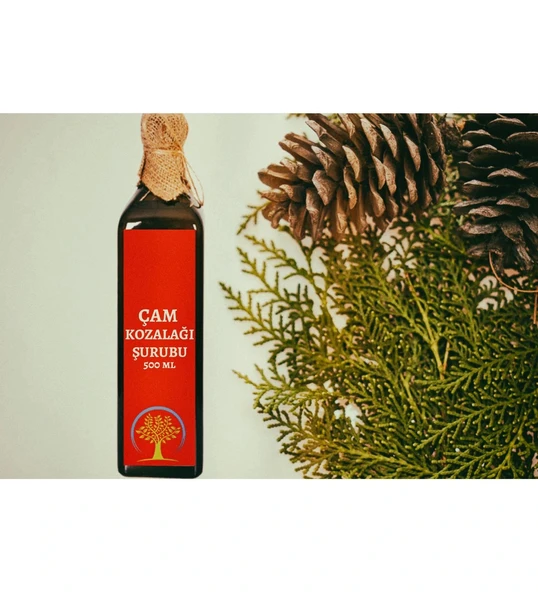 Çare Burada Çam Kozalağı Şurubu 500 ML ürün görseli 1