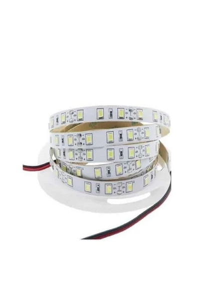 Cata Şerit Led İç Mekan Gunışığı Işık 5 Metre 4481 ürün görseli 1