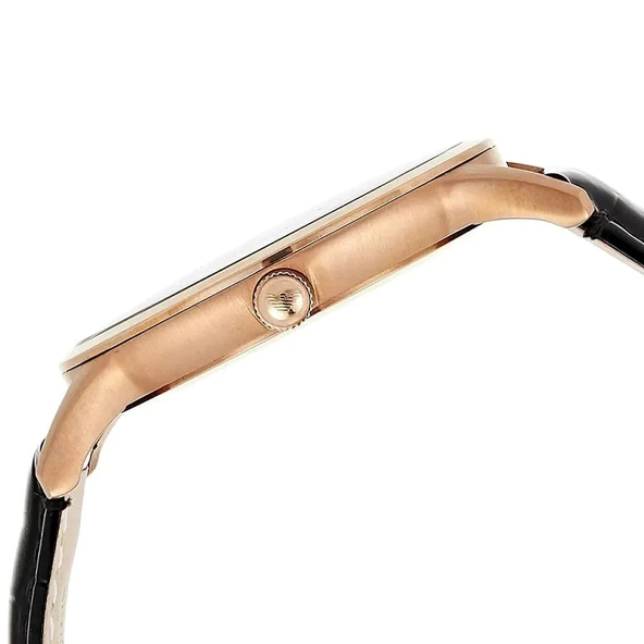 Emporio Armani AR2425 Erkek Kol Saati - Resim 4