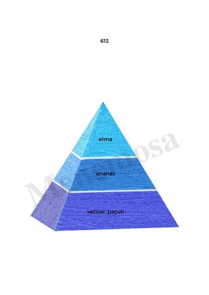 613 + 709 Erkek  Parfüm Edp Fresh / Oriental- Mnms613709 - Resim 2