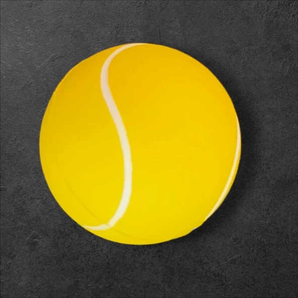 El Bilek Güçlendirme Topu - Resim 3