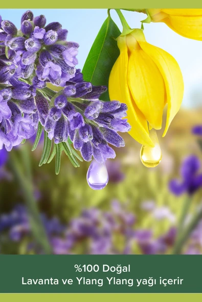 Palmolive Duş Jeli Yedek Paket Aroma Sensations 1000 ml - Resim 2