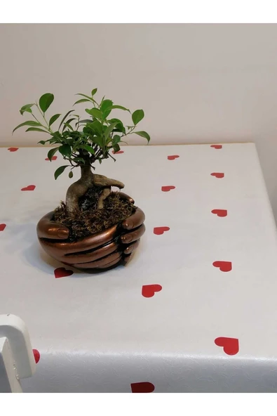 ELYAFLI PVC MUŞAMBA - DESENLİ SİLİNEBİLİR MASA ÖRTÜSÜ - Resim 4