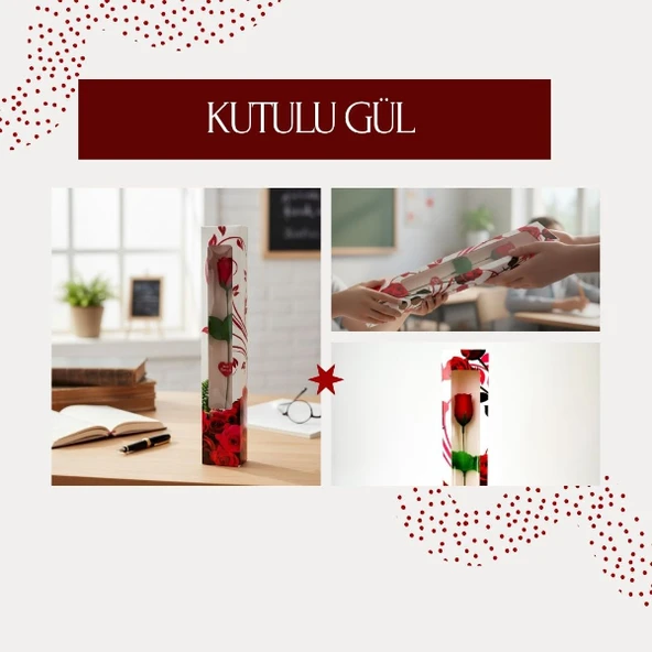 Kutulu Gül - Öğretmenler Günü Hediyesi ürün görseli