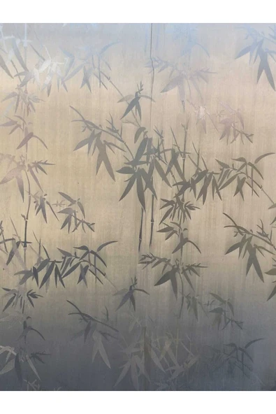 Dekoratif Şeffaf Cam Folyosu | Kendinden Yapışkanlı – Buzlu Cam Görünüm - Resim 3