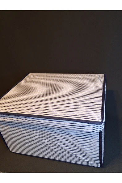 ÇOK AMAÇLI SAKLAMA KUTUSU BAZA 50 X 40 X 19 - Resim 4