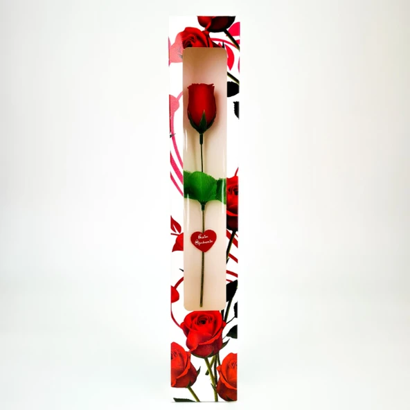 Kutulu Gül - Öğretmenler Günü Hediyesi - Resim 5