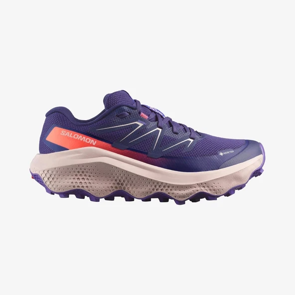Salomon ULTRA FLOW 2 GTX Kadın Ayakkabısı L4788430 ürün görseli 1