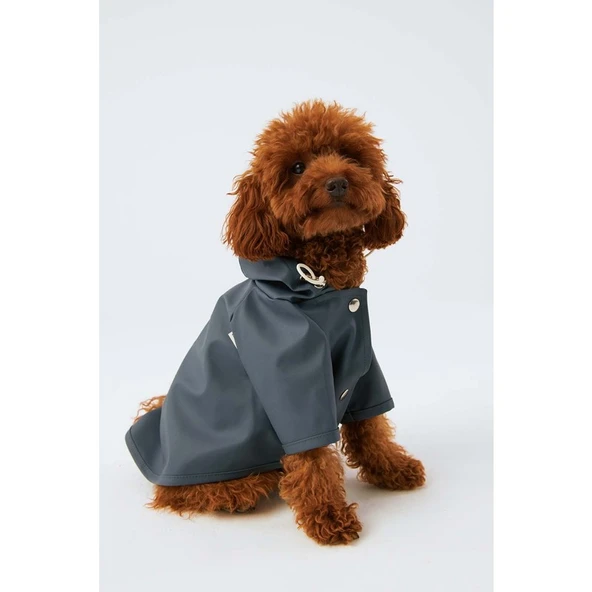 Bruno Society Çıtçıtlı Köpek Yağmurluk Mavi 5 ürün görseli