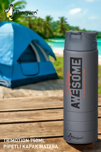 750ML Paslanmaz Çelik Su Matarası | Sızdırmaz Kapaklı | Pipetli | BPA Free | Dayanıklı ürün görseli