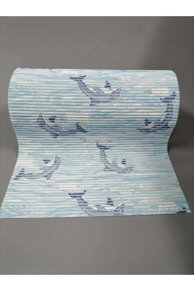 Aqua Mat Islak Zemin Anti Bakteriyel Kaydırmaz Çok Amaçlı Paspası 65 Cm Eninde - Resim 2