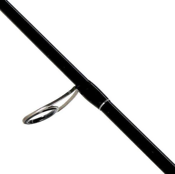 Shiman Bassterra A Seabass Spinning 2,90m 96"15-60 - Resim 2