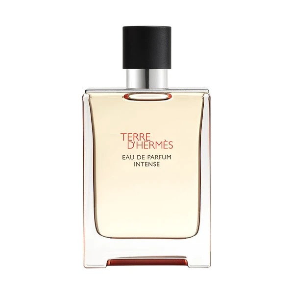 Hermes Terre dHermès Intense EDP 100 ml Erkek Parfüm ürün görseli 1
