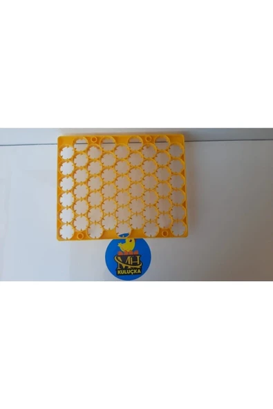 54'lük Kuluçka Gelişim Viyolü - Resim 3