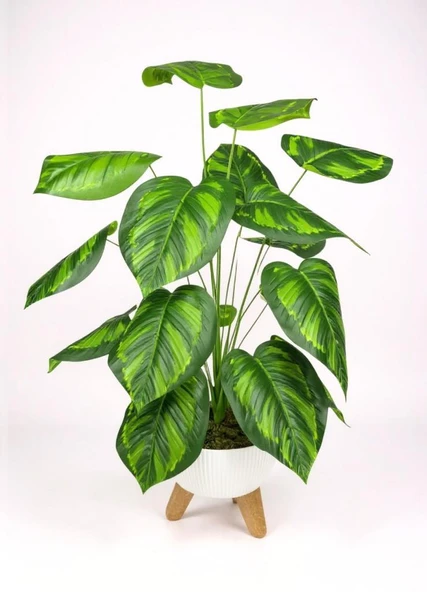 Yapay Çiçek Salon Bitkisi Difenbahya 70cm 18 Yaprak Beyaz Zigon Saksıda - Resim 4