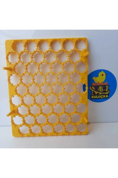 54'lük Kuluçka Gelişim Viyolü ürün görseli