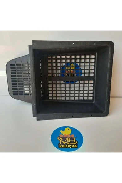 Tavuk Yumurta Folluğu - Resim 2