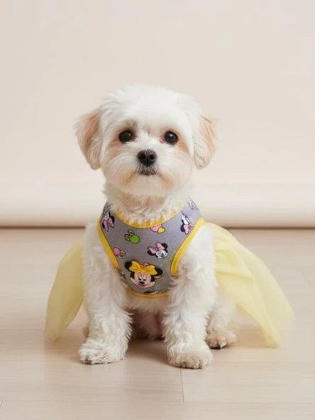 Sevimli Fare Sunny Tütü Köpek Kıyafeti | Sarı Tütülü Elbise | Küçük Irk Köpekler İçin - Resim 4