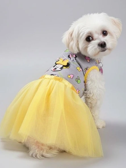 Sevimli Fare Sunny Tütü Köpek Kıyafeti | Sarı Tütülü Elbise | Küçük Irk Köpekler İçin ürün görseli
