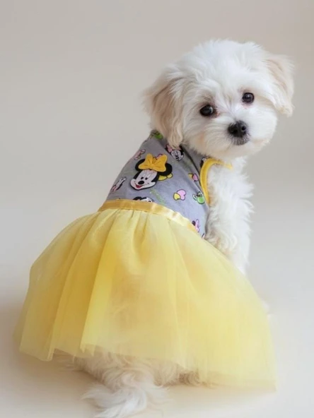 Sevimli Fare Sunny Tütü Köpek Kıyafeti | Sarı Tütülü Elbise | Küçük Irk Köpekler İçin - Resim 5