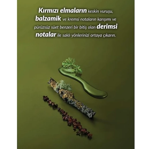 Black Suede Real Antiperspirant Roll-On Deodorant - 50ml - Resim 2